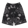 画像2: PeeTee. (ピーティー) “BANDANA JQD SHORTS” (2)