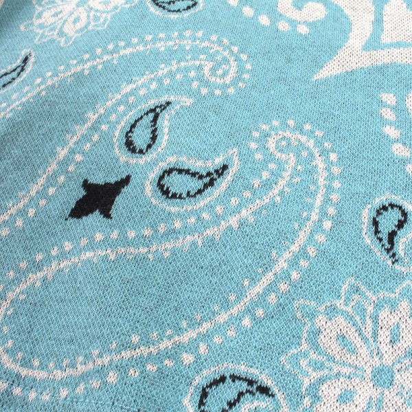 画像7: PeeTee. (ピーティー) “BANDANA JQD SHORTS” (7)