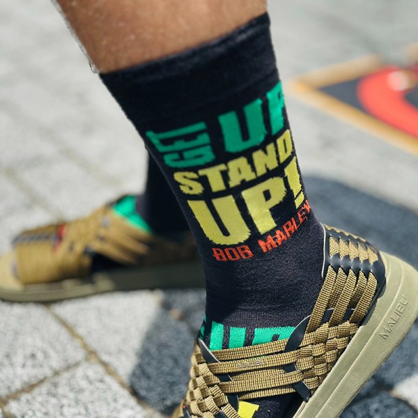 画像6: 【SUMMER STYLE】cocolo (6)