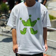 画像3: 【SUMMER STYLE】cocolo (3)