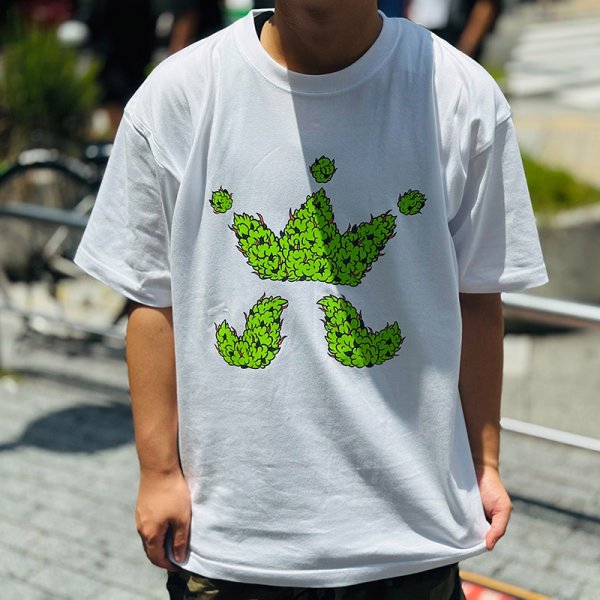 画像3: 【SUMMER STYLE】cocolo (3)