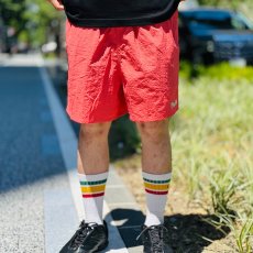 画像9: PeeTee. (ピーティー) “GROO PEE SHORTS” (9)