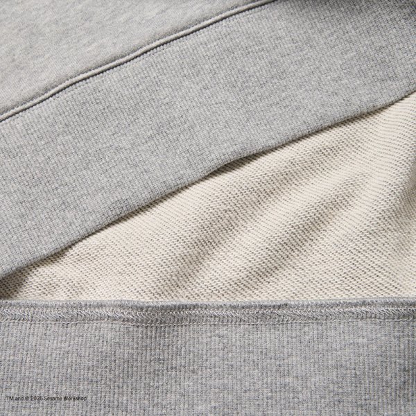 画像6: NEWERA（ニューエラ）“裏毛 スウェット クルーネック SESAME STREET セサミストリート Baseball グレー” (6)