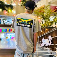 画像10: KINGSIZE（キングサイズ）“JAMAICAN MOB TEE” (10)