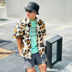 画像1: 【SUMMER STYLE】cocolo (1)