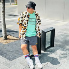 画像2: 【SUMMER STYLE】cocolo (2)