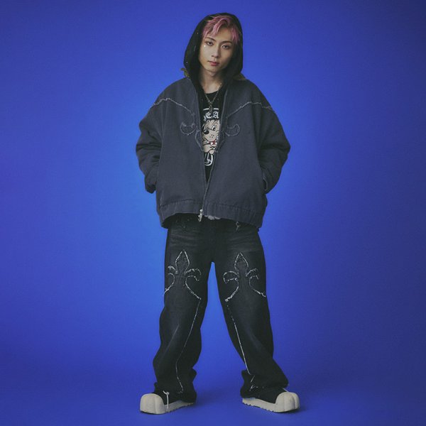 画像22: 【ラスト大型犬（XL）のみ】GALFY(ガルフィー) “百合の紋紋デニム” (22)