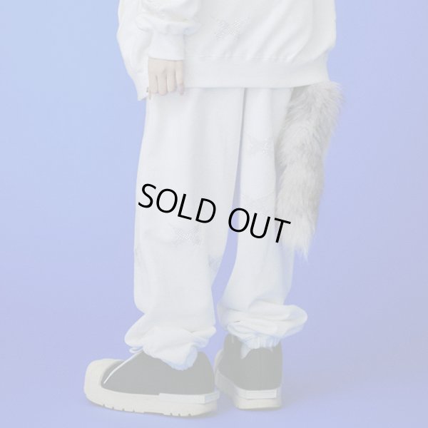 画像14: 【ラスト大型犬（XL）のみ】GALFY(ガルフィー) “ピカピカ注射器犬パンツ” (14)