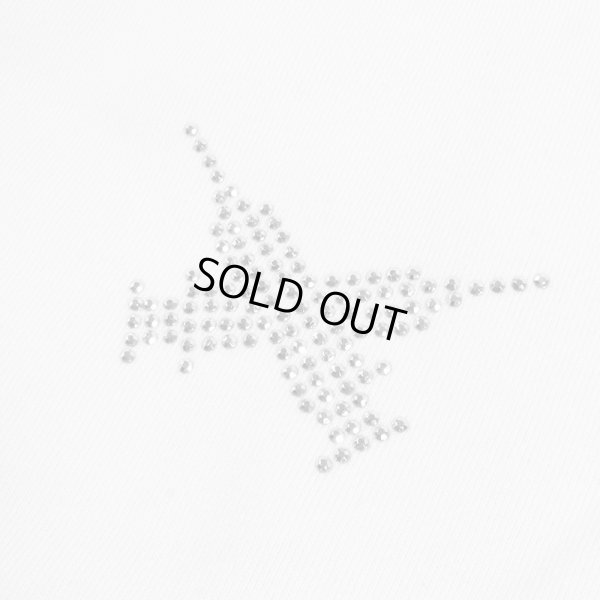 画像11: 【ラスト大型犬（XL）のみ】GALFY(ガルフィー) “ピカピカ注射器犬パンツ” (11)