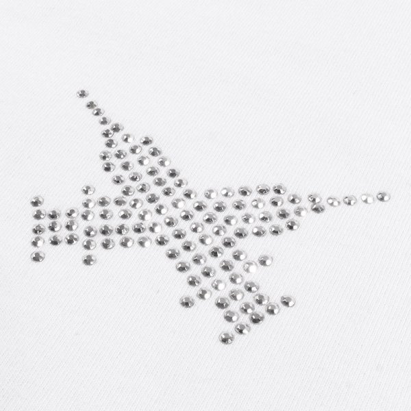 画像7: GALFY(ガルフィー) “ピカピカ注射器犬ロンTee” (7)