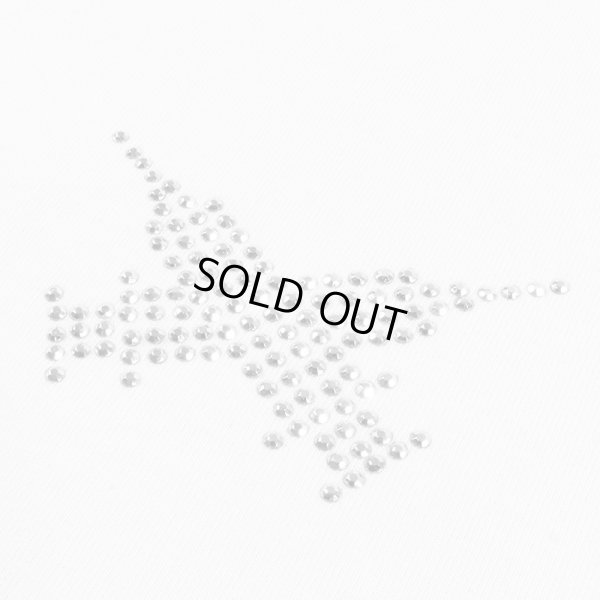 画像7: GALFY(ガルフィー) “ピカピカ注射器犬ロンTee” (7)