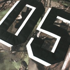 画像12: FUBU（フブ） “REAL TREE HOCKEY SHIRT/リアルツリーホッケーシャツ” (12)