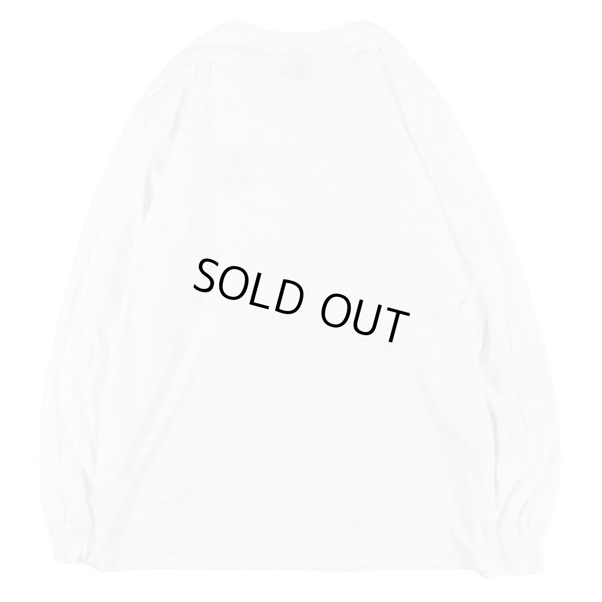 画像2: KINGSIZE（キングサイズ）“LION L/S TEE” (2)