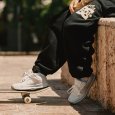 画像29: GRIMEY / GRMY (グライミー)xDC SHOES “THE SWARM - LYNX GRIMEY” (29)