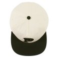 画像6: PeeTee. (ピーティー) “PEE LOGO TWO TONE CAP” (6)