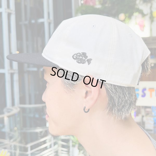 画像13: PeeTee. (ピーティー) “PEE LOGO TWO TONE CAP” (13)