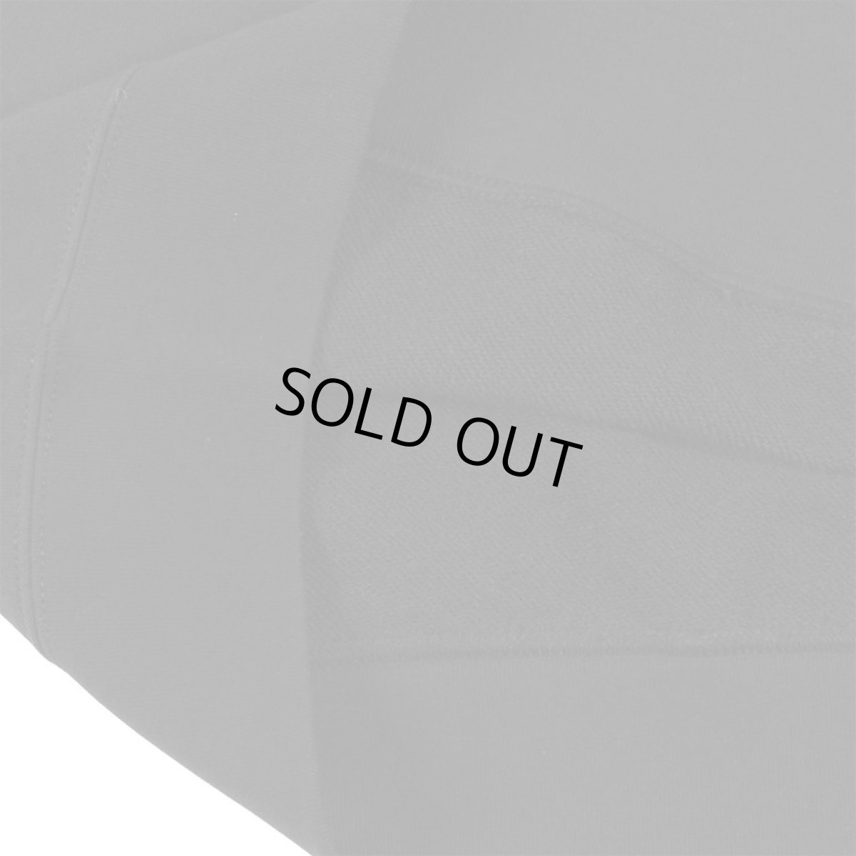 画像8: KINGSIZE（キングサイズ）“POP STAR CREW SWEAT” (8)