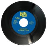 音源・本 - DISSIDENT WEB SHOP