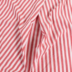 画像9: [レディース] PeeTee. (ピーティー) “STRIPE BACK TUCK BLOUSE” (9)