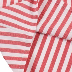 画像6: [レディース] PeeTee. (ピーティー) “STRIPE BACK TUCK BLOUSE” (6)
