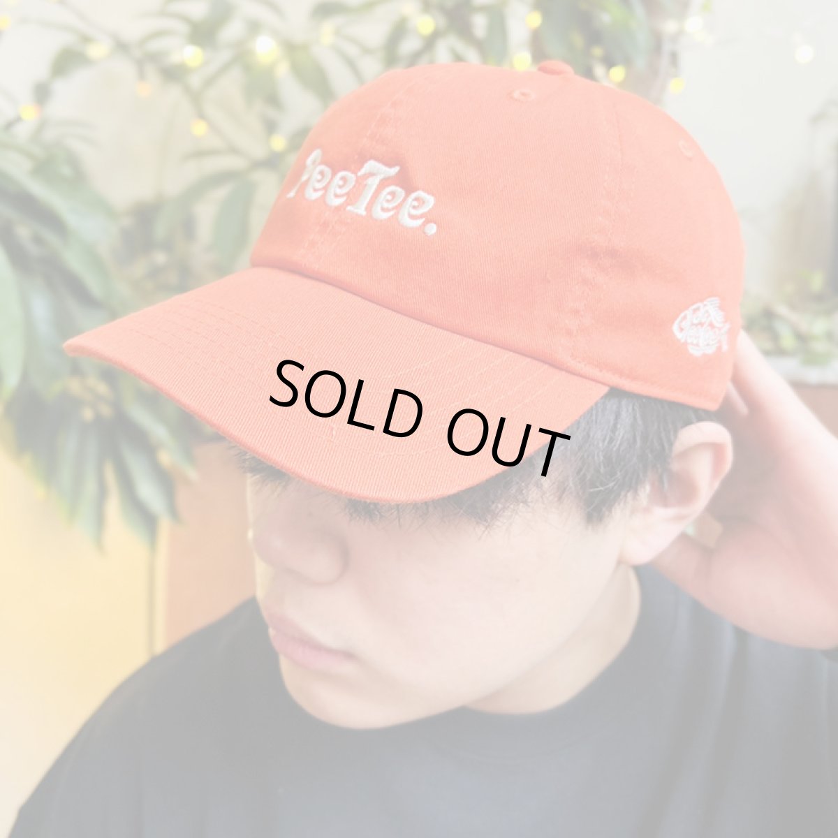 画像11: PeeTee. (ピーティー) “GROO PEE LOGO 6PANEL CAP” (11)