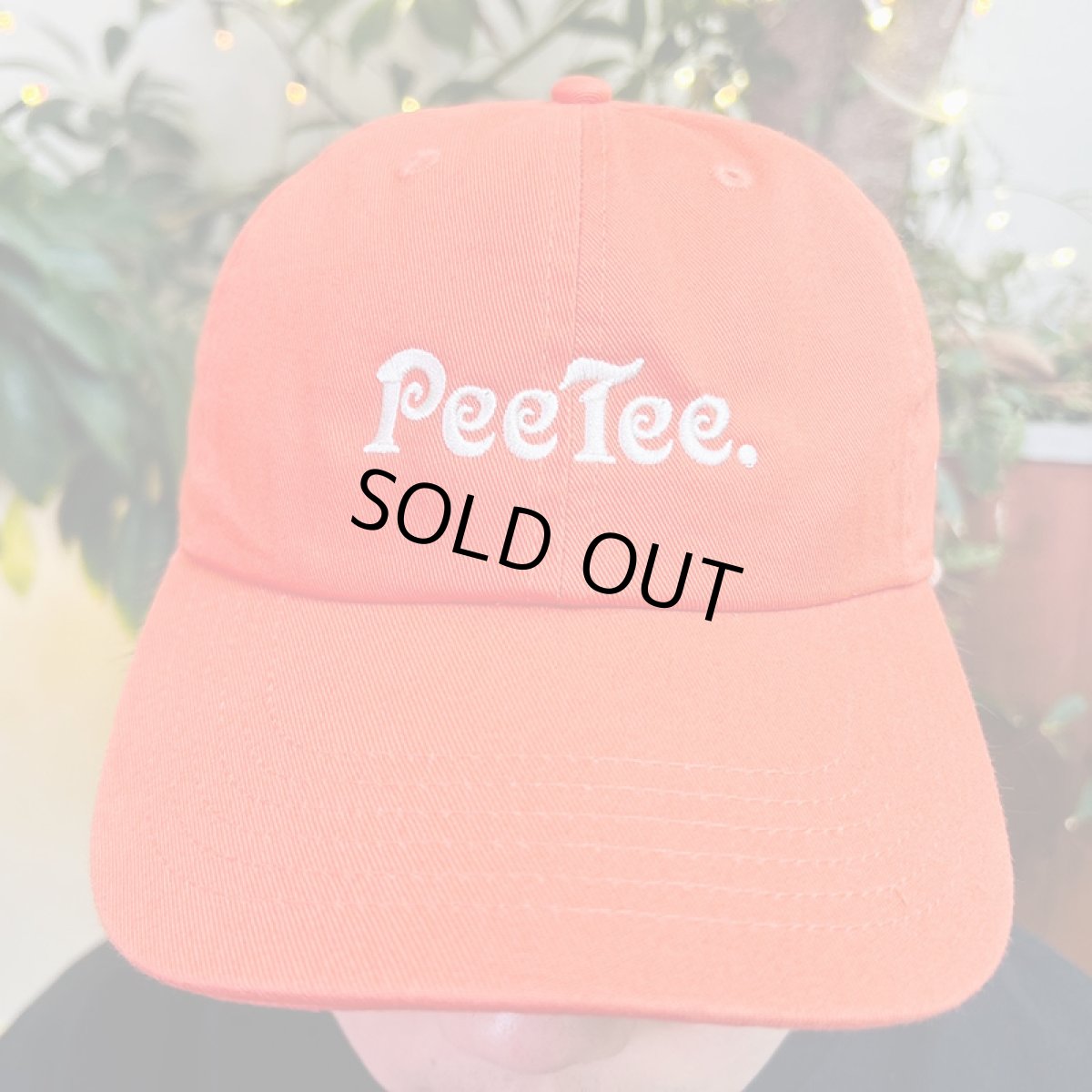 画像12: PeeTee. (ピーティー) “GROO PEE LOGO 6PANEL CAP” (12)