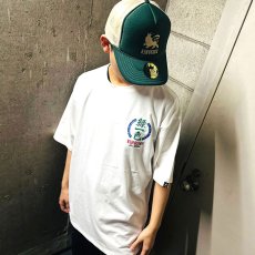 画像12: KINGSIZE（キングサイズ）“緑一色 TEE” (12)