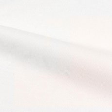 画像11: KINGSIZE（キングサイズ）“緑一色 TEE” (11)