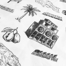 画像11: KINGSIZE（キングサイズ）“JAMAICAN S/S SHIRT” (11)