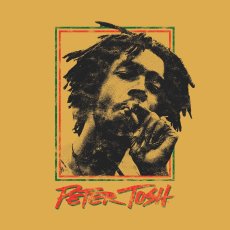 画像4: AMERICAN CLASSICS（アメリカンクラシックス） “PETER TOSH OAKLAN 78 TEE” (4)