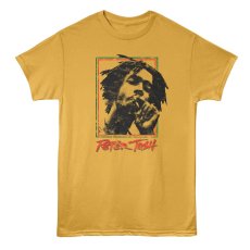 画像2: AMERICAN CLASSICS（アメリカンクラシックス） “PETER TOSH OAKLAN 78 TEE” (2)