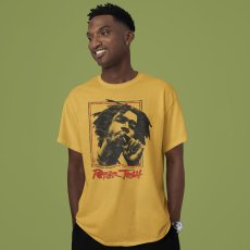 画像6: AMERICAN CLASSICS（アメリカンクラシックス） “PETER TOSH OAKLAN 78 TEE” (6)