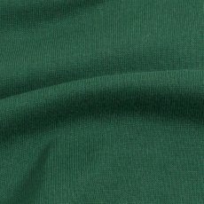 画像10: KINGSIZE（キングサイズ）“緑一色 TEE” (10)