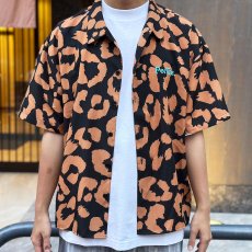 画像4: 【SUMMER STYLE】taiga (4)
