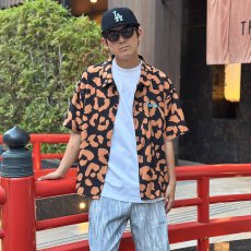 画像1: 【SUMMER STYLE】taiga (1)