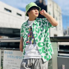 画像1: 【SUMMER STYLE】cocolo (1)