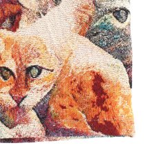 画像5: KINGSIZE（キングサイズ）“GOBELIN CAT SHORTS” (5)