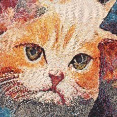 画像8: KINGSIZE（キングサイズ）“GOBELIN CAT SHORTS” (8)