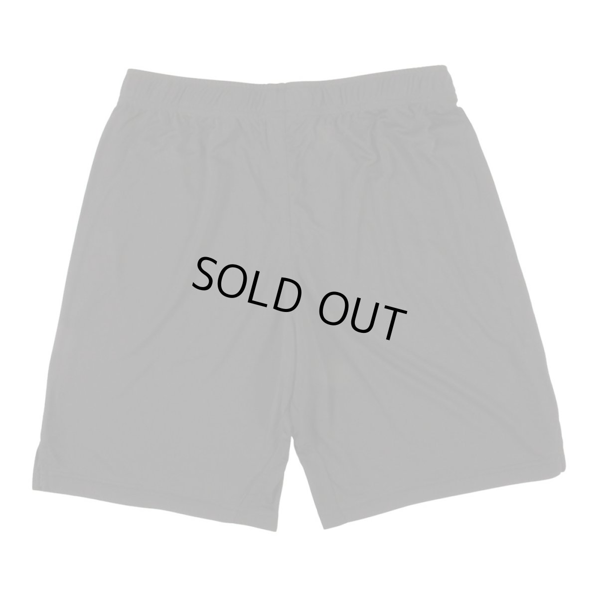 画像2: PeeTee. (ピーティー) “AIR MARLEY DRY SHORTS” (2)
