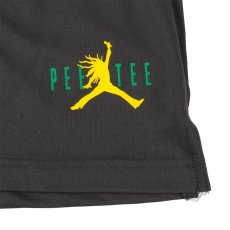 画像3: PeeTee. (ピーティー) “AIR MARLEY DRY SHORTS” (3)