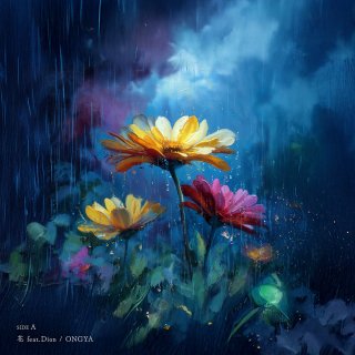 音源・本 - DISSIDENT WEB SHOP
