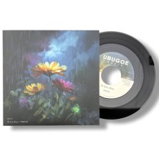 画像4: 【7inch RECORD】『花 feat Dion / みちしるべ』ONGYA (4)