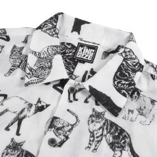 画像3: KINGSIZE（キングサイズ）“CAT PRINT L/S SHIRTS” (3)