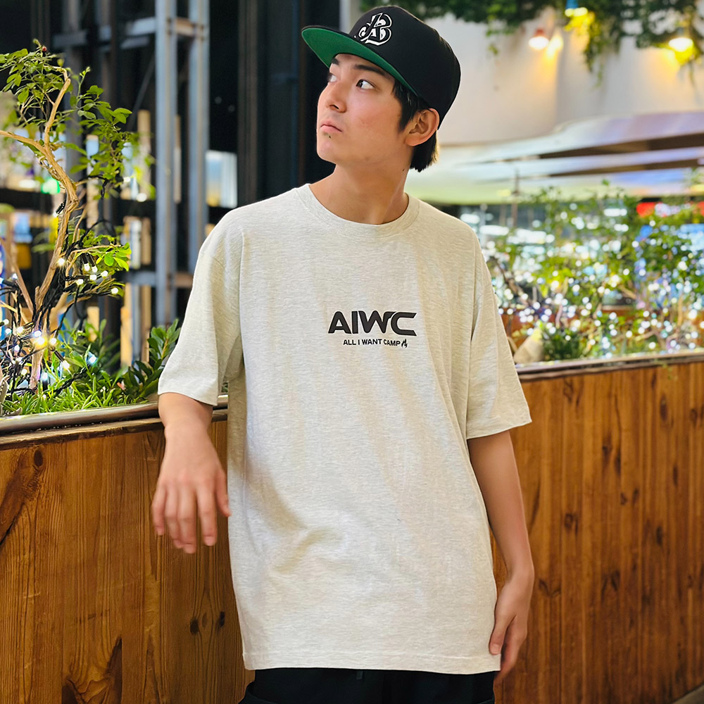 KINGSIZE（キングサイズ）“ALL I WANT CAMP TEE” - DISSIDENT WEB SHOP